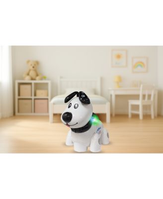 Smart Dog Toy with remote control