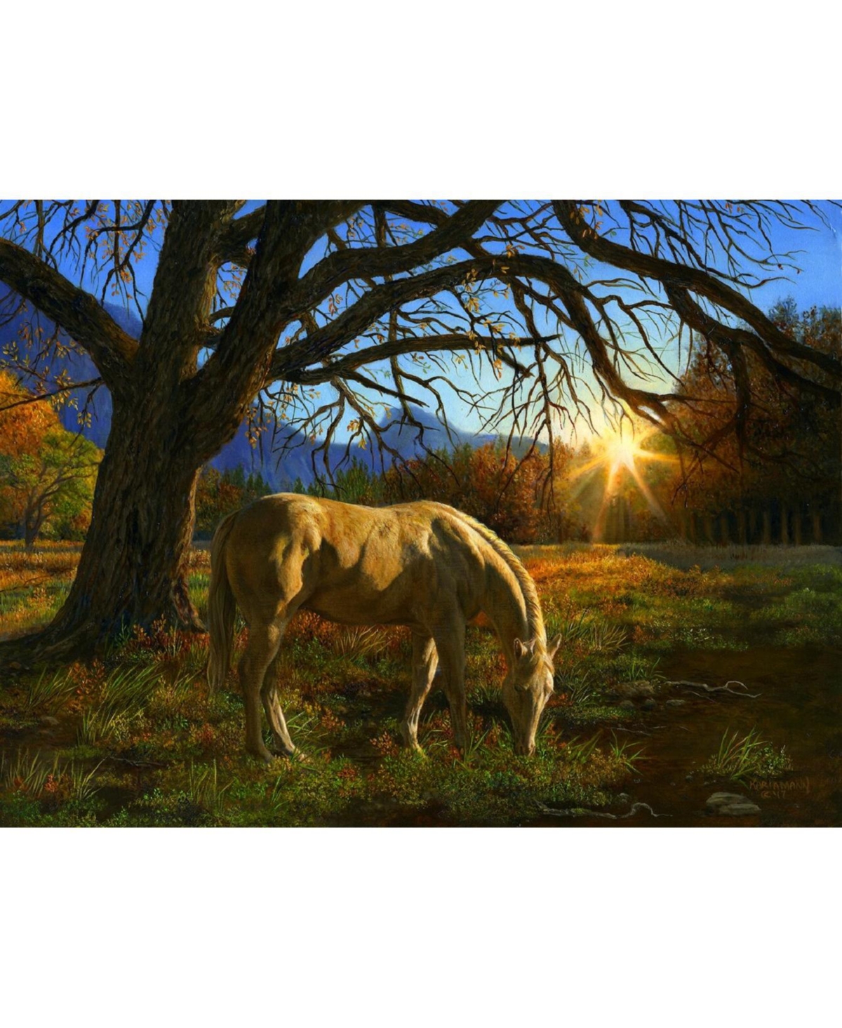 SunsOut Pastoral Sunset 1000 piece Jigsaw Puzzle for Adults