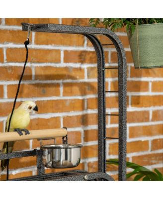 Parrot Sd Large Bird Perch Sd with Toy Hook & 3 Ladders