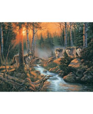 Forest Shadows 1000 piece Jigsaw Puzzle for Adults