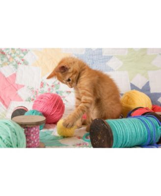 Kitty Plays Ball 300 piece Jigsaw Puzzle for Adults