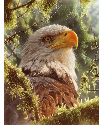 High and Mighty 1000 piece Jigsaw Puzzle for Adults