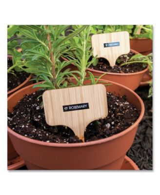 TZE315 0.23 in. x 26.2 ft. TZe Standard Adhesive Laminated Labeling Tape - White on Black