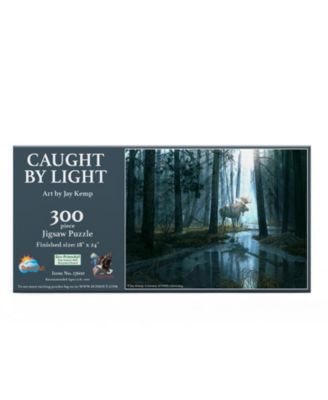 Caught by Light 300 piece Jigsaw Puzzle for Adults