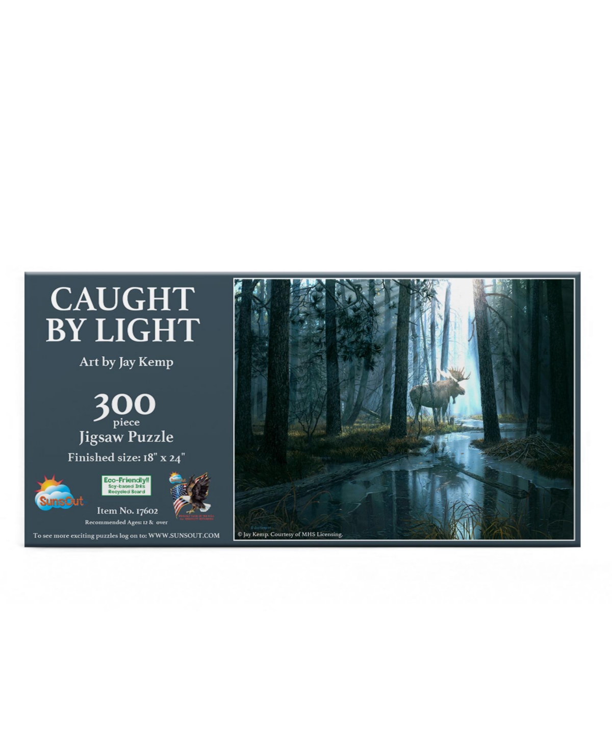 SunsOut Caught by Light 300 piece Jigsaw Puzzle for Adults