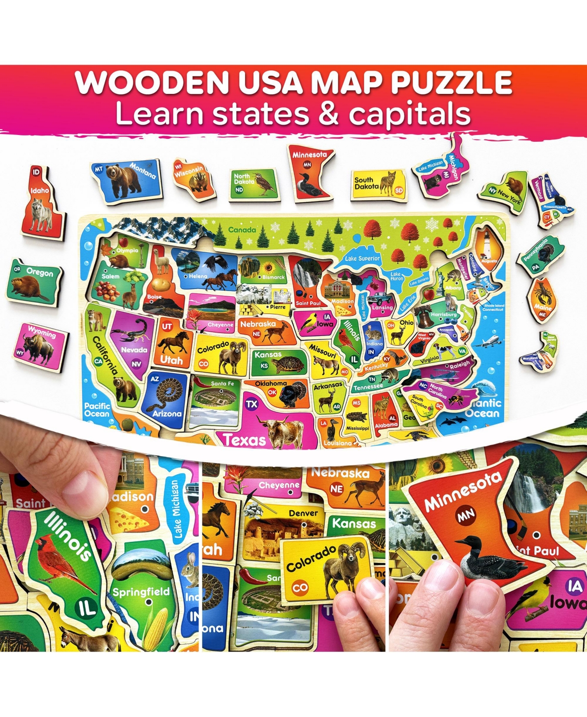 Quokka Magnetic Realistic Puzzles States Map for Kids 4-6 Years - Montessori Toys Geography Learning