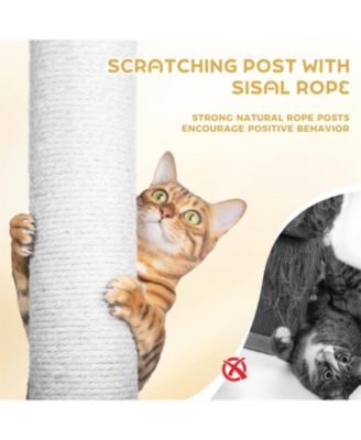 Cat Tree with large condo wood ladder in White