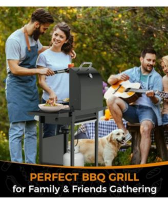 2-Burner Propane Gas BBQ Grill, 20,000 BTU Stainless Steel Grill with Side Shelves and Wheels, Portable Outdoor Grill
