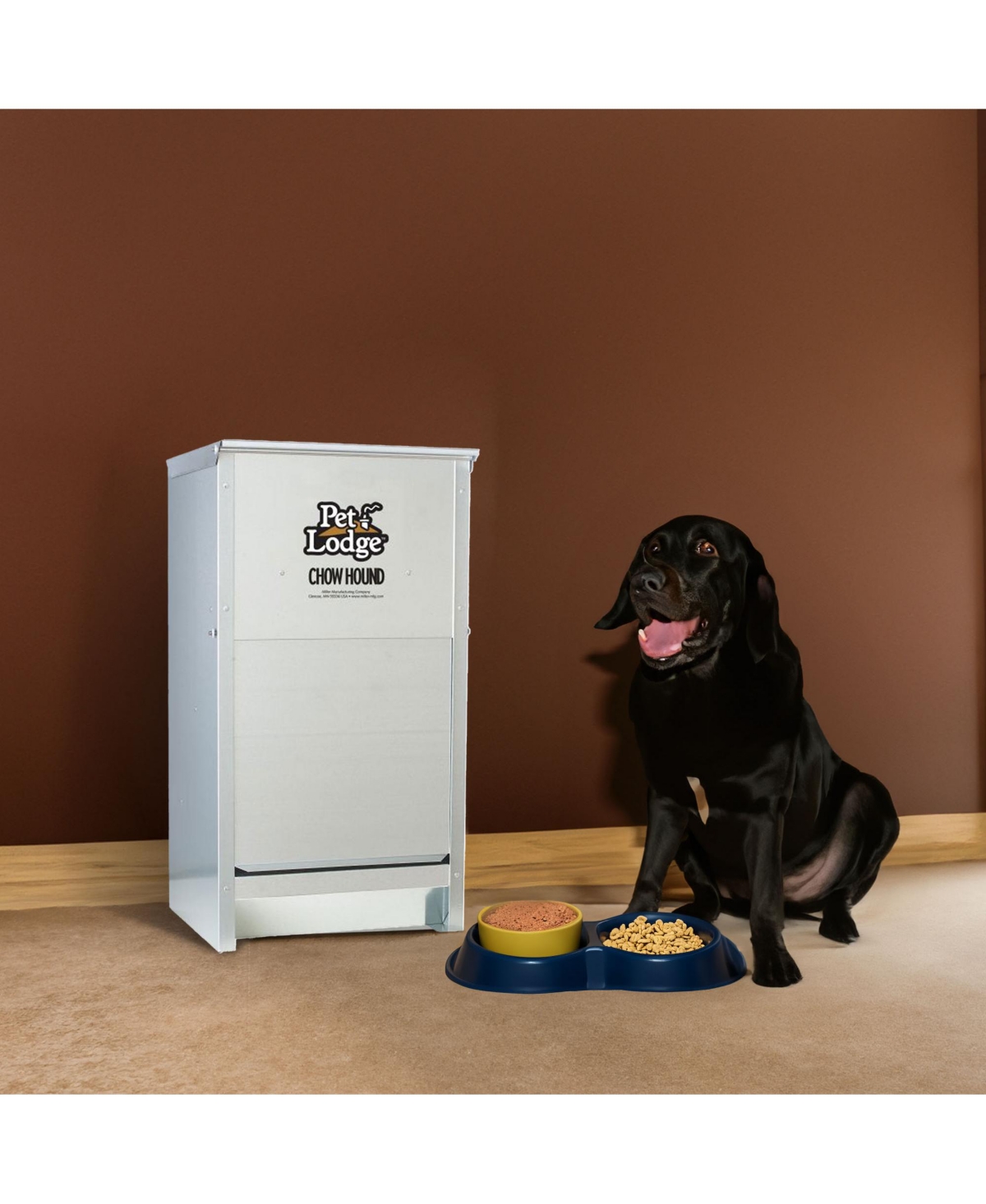 Little Giant Dry Food Automatic Steel Dog Feeder Chow Hound 25 Lb (2 Pack)