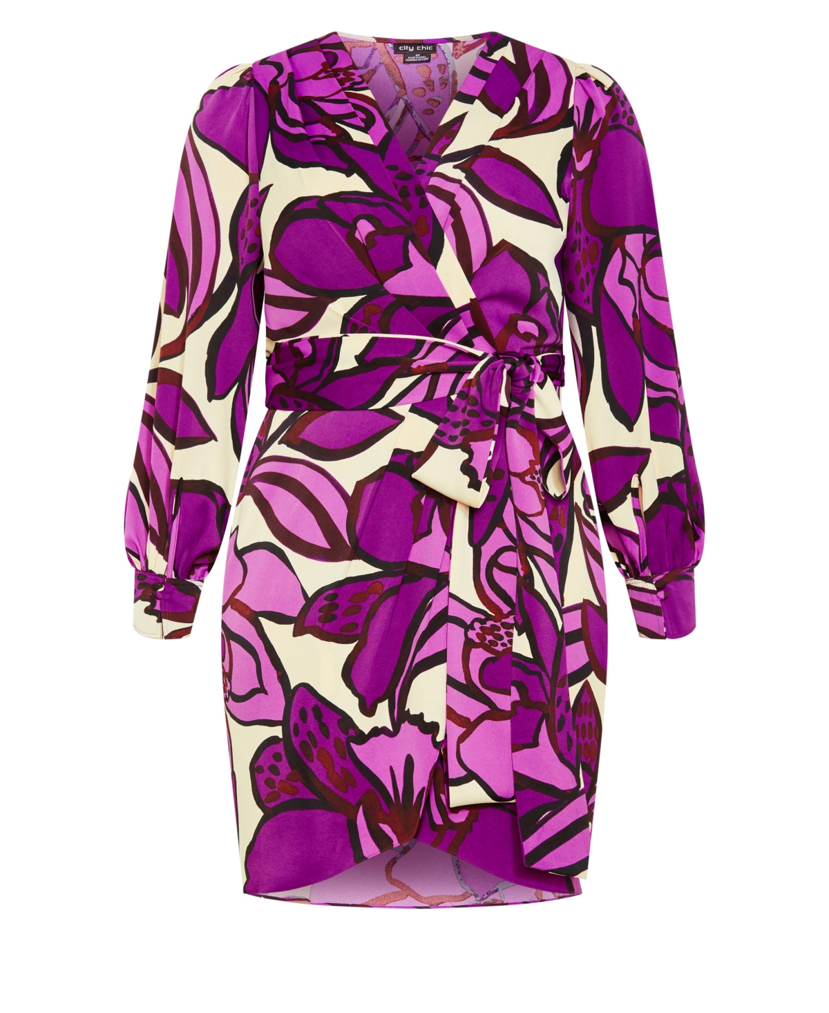 City Chic Plus Amalia Print Dress