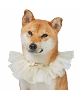 Blueberry Pet My Little Princess Dog Collar with Embroidered Mesh and Bowtie