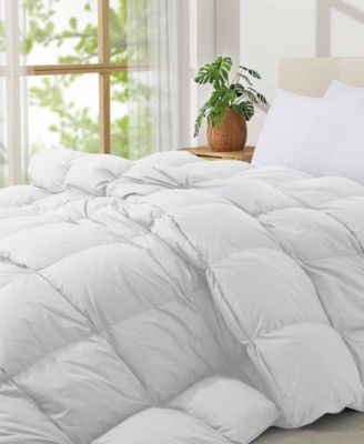 All season Goose Feather Comforter, Full/Queen
