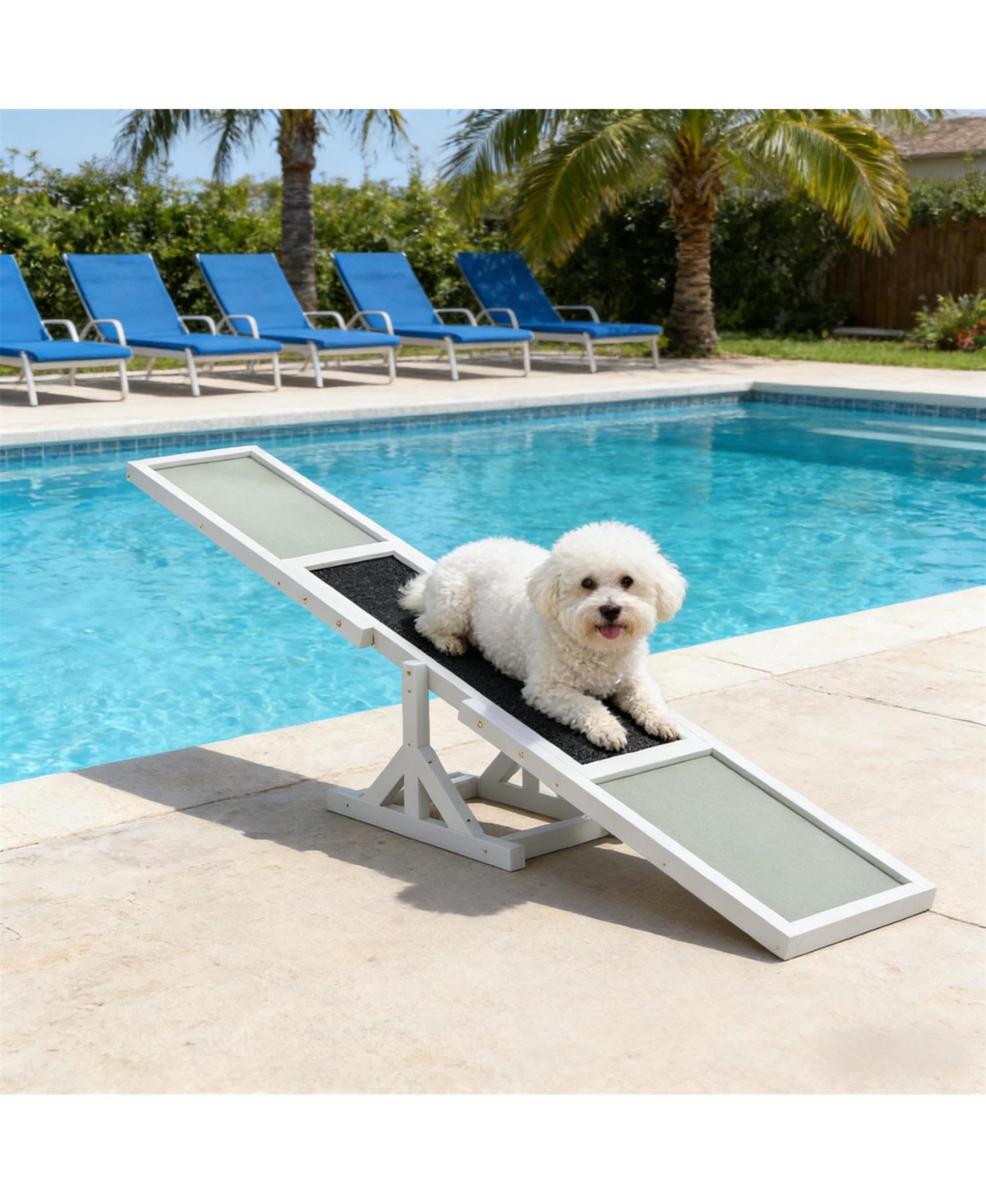 Aostirmotor Wooden Dog Agility Seesaw for Outdoor in White and Gray