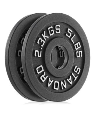 Set of 2 Standard Cast Iron Olympic 2-inch Weight Plates (5 LB each)
