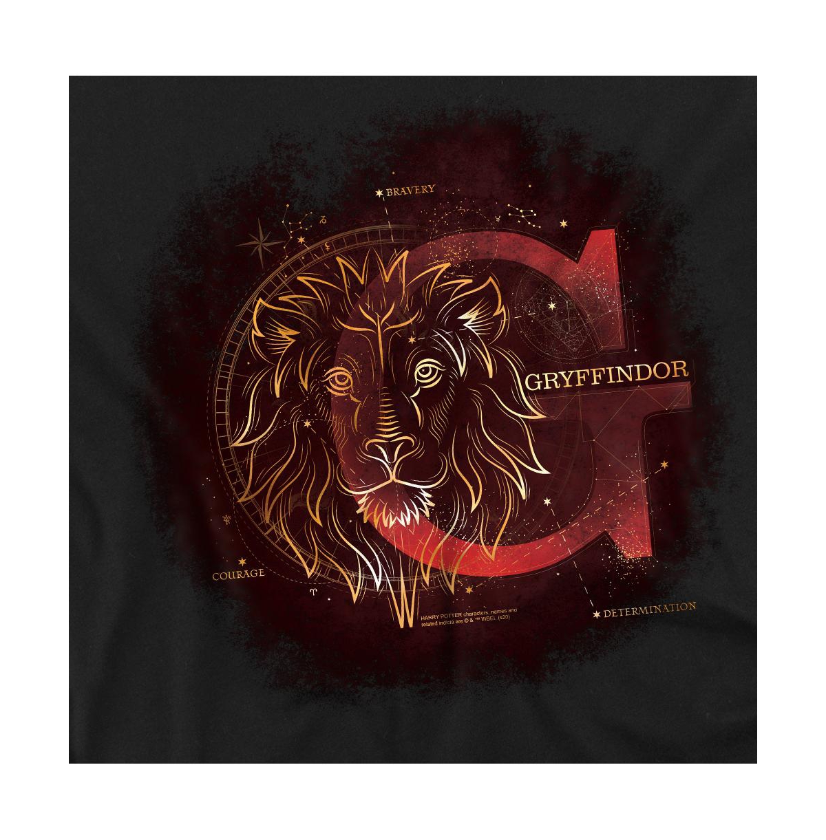 Harry Potter Men's Celestial Nomad Gryffindor T Shirt