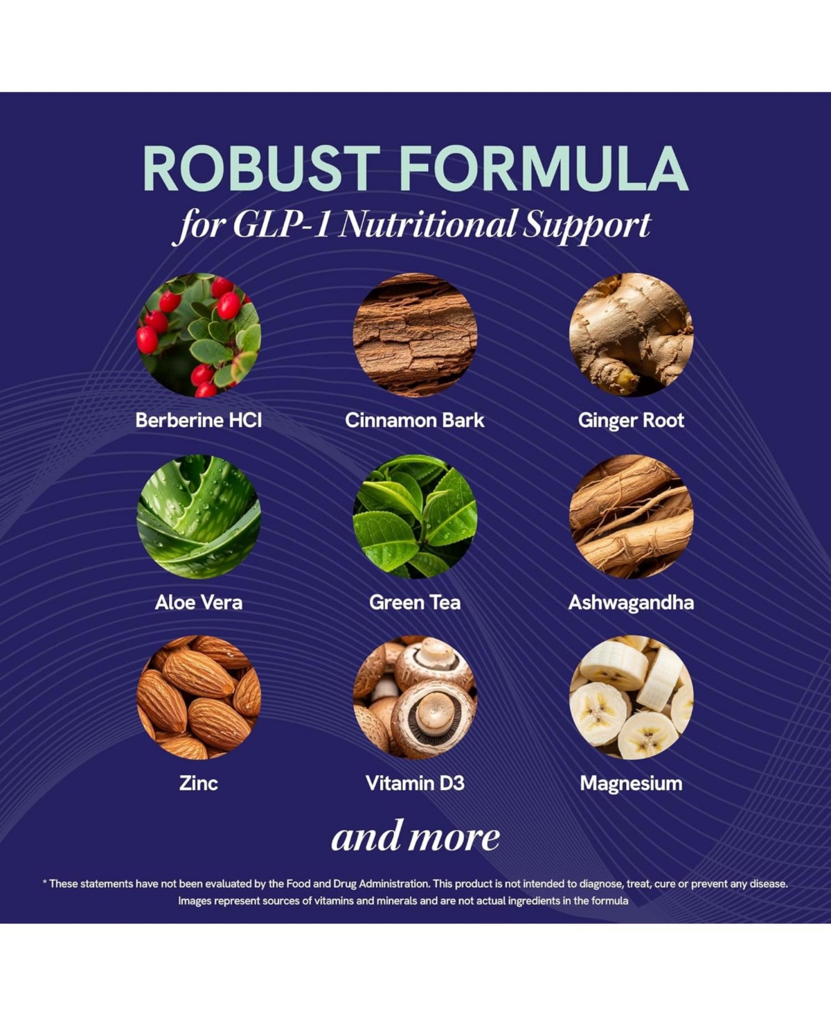 SMNutrition Glp-1 Support Capsules, 60ct