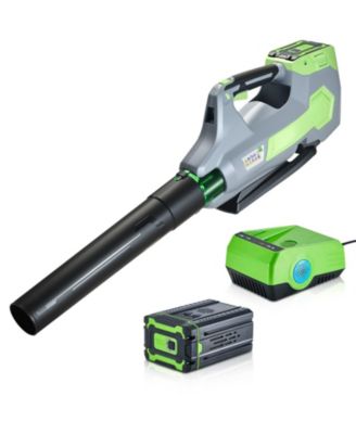 60V Cordless Leaf Blower, 650 CFM / 125 MPH, 3-Speed Control, 5.0Ah Battery, Fast Charging, Lightweight & Quiet