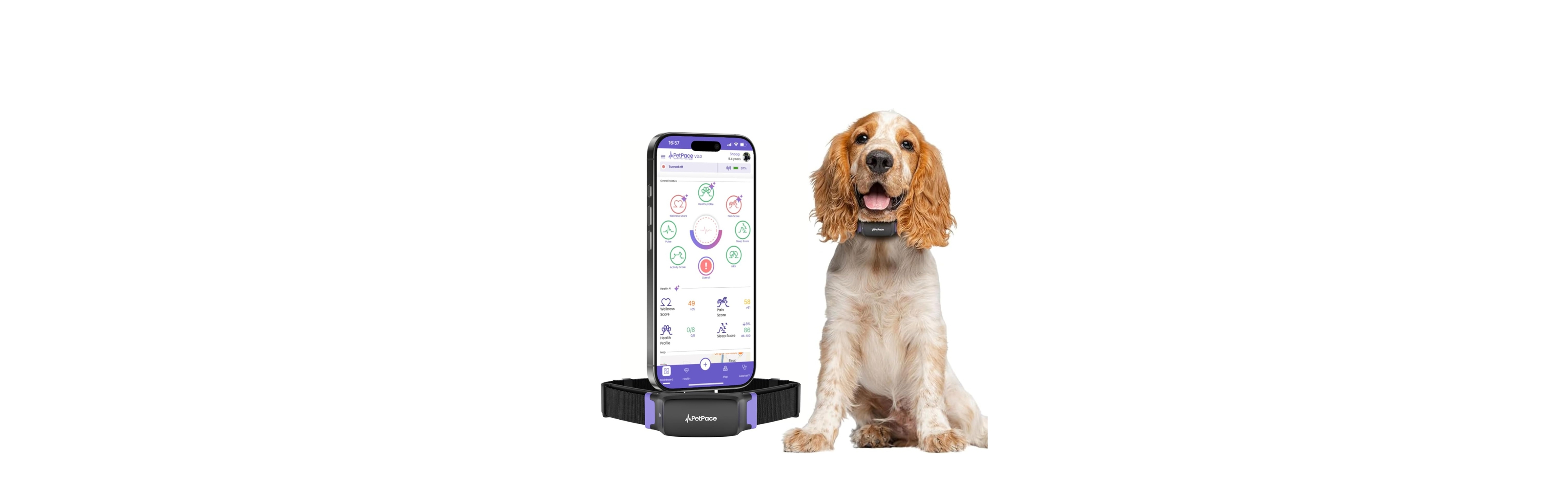Petpace Dog Health Monitoring Collar