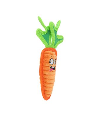 Funny Food Jr Carrot, Durable Plush Squeaky Dog Toy