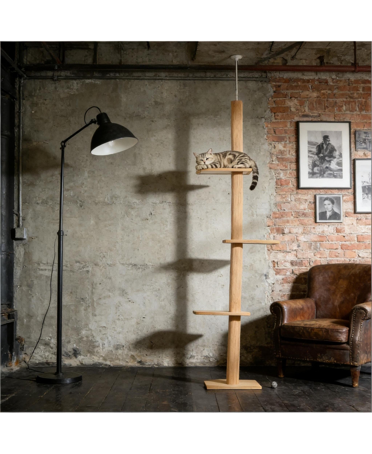 Zeus & Ruta Cat Tree Activity Center