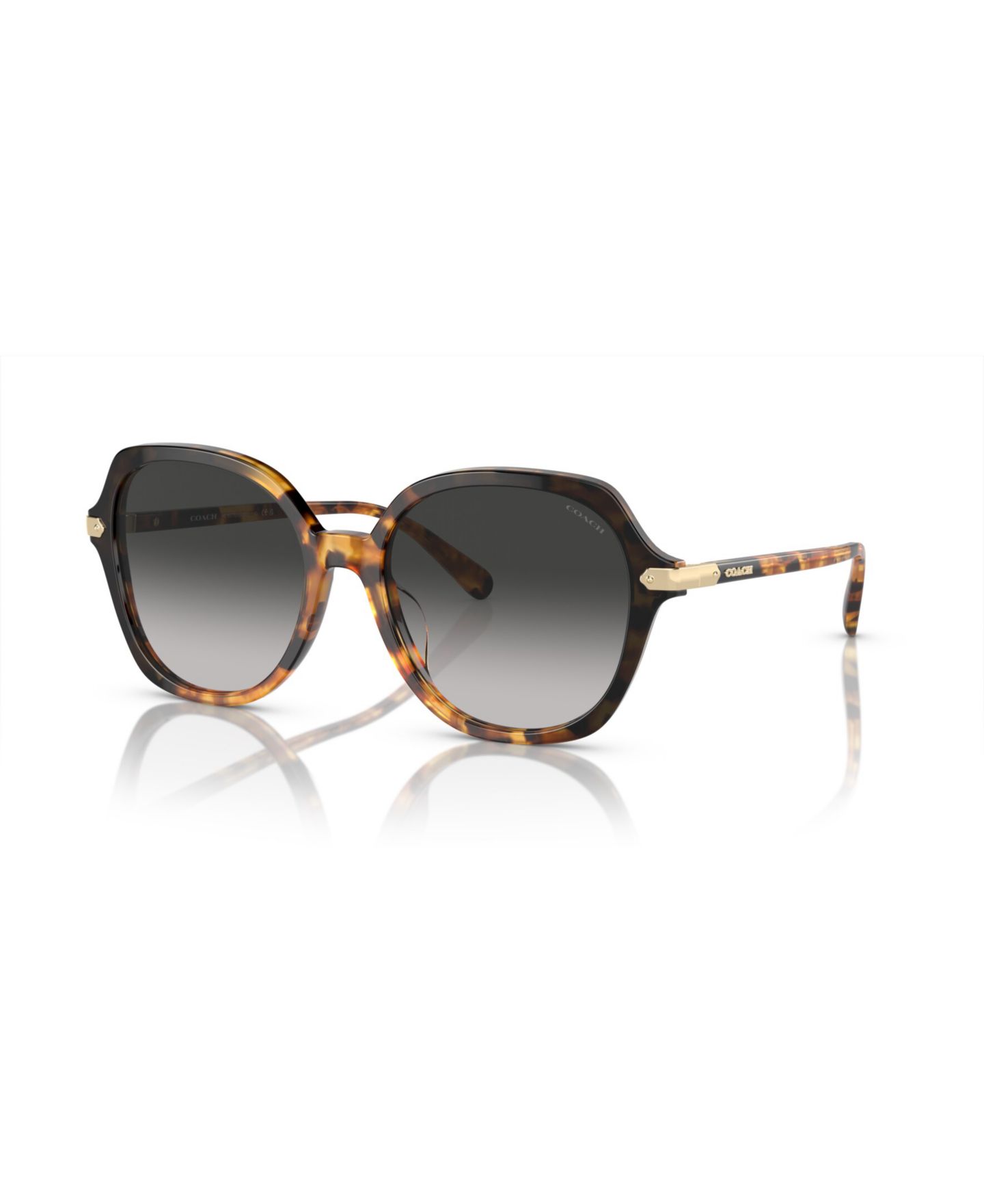Женские солнцезащитные очки Coach Round Sunglasses, CL925 HC8377U, цвет: Медовый черепаховый чёрный градиентный — фото 1