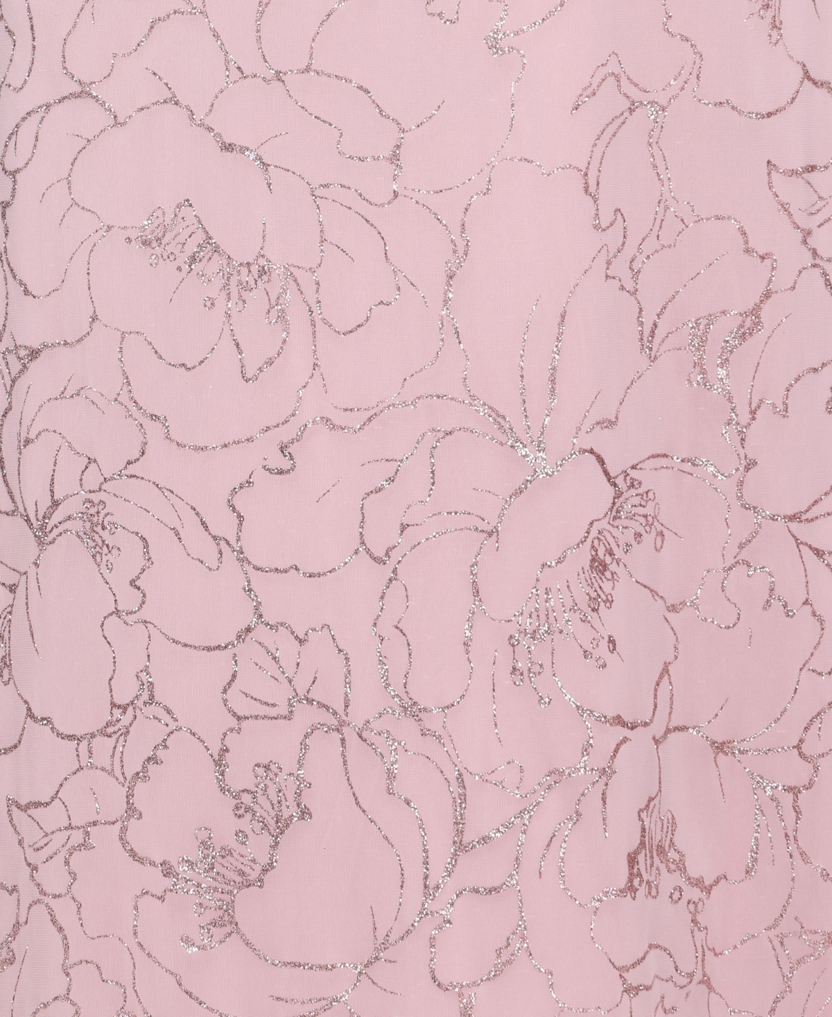 Sl Fashions Plus Long Glitter Mesh A-Line Ball Gown