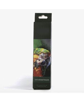 12 Colors Wood Colored Pencils, Sketching Drawing Pencils Set, 0.3mm Soft Core for Adult Coloring Artists Professionals and Colorists