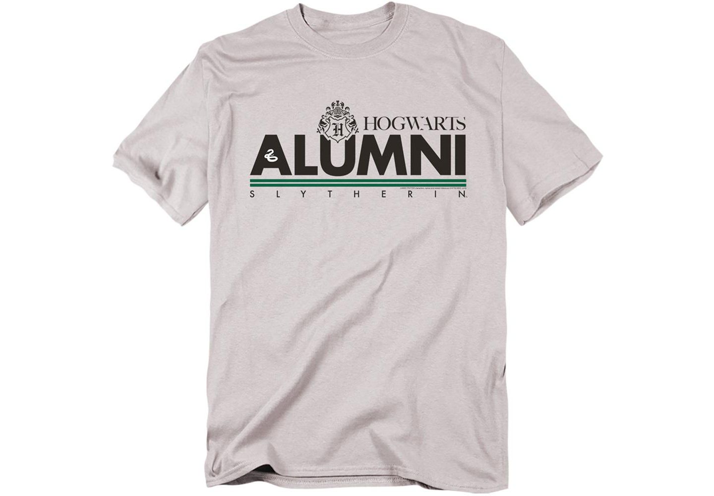Мужская футболка Harry Potter Slytherin Alumni, цвет: Серебряный — фото 1