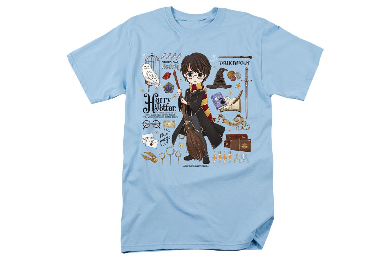 Men's Everything That Is T Shirt