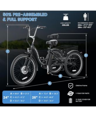 350W Electric Tricycle for Adults