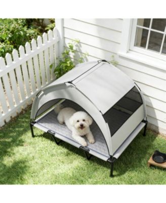 Elevated Portable Dog Cot for Outdoor