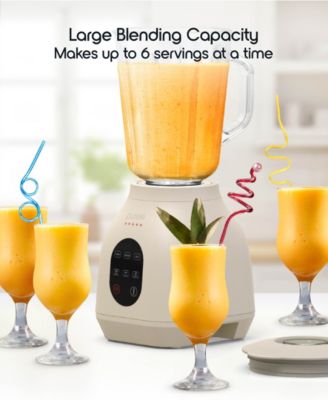 Puree 1.5 Liter LED Touchscreen Blender