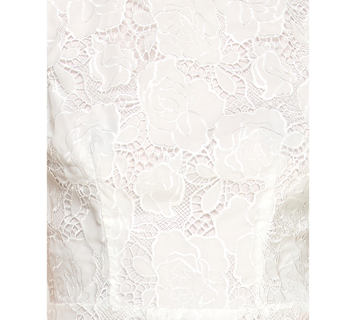 Alex & Sophia Juniors' Sleeveless Floral Embroidered Lace Crew Neck Dress