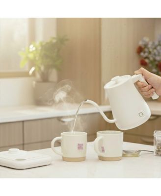 1L Gooseneck Electric Kettle