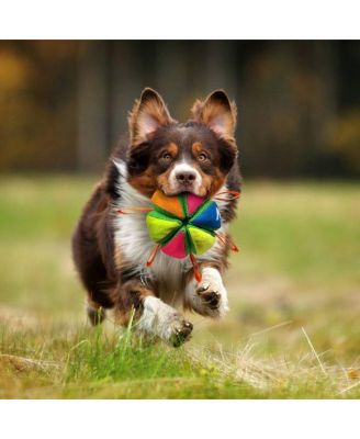 Interactive Dog Toy: Treat Dispensing Ball & Chew Toy, Durable Latex Wedge Shape for Mental Stimulation and Play
