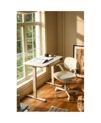 Biskit Ergonomic Chair