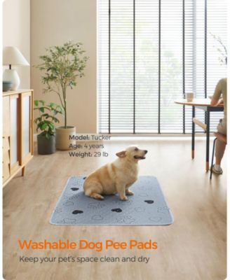2-Pack Washable Dog Pee Pads, 48" x 36", 4-Layer Absorbent Waterproof TPU, Non-Slip Backing