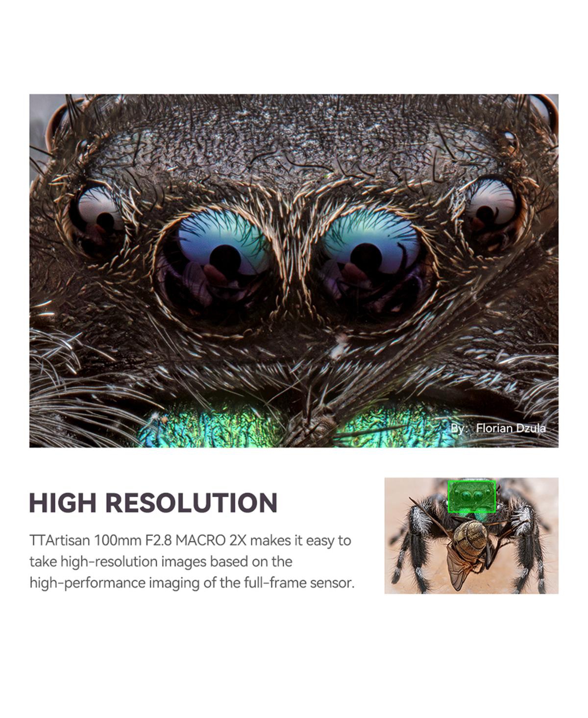 TTArtisan Ttartisan Macro100mm F2.8(L)