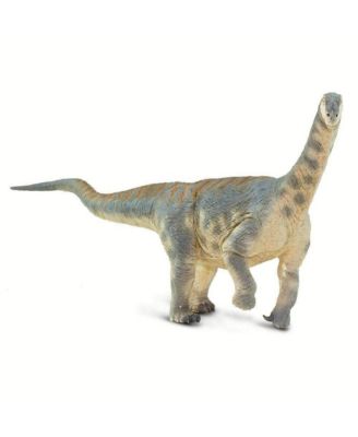 - Camarasaurus
