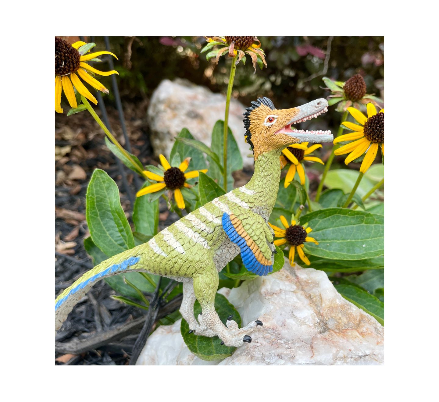 Детская фигурка Safari Ltd. Austroraptor — фото 2