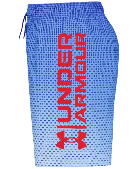 Пляжные шорты Gradient, с логотипом — Under Armour
