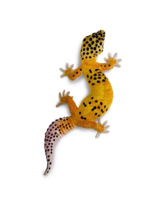 Leopard Gecko
