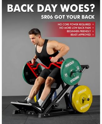 Linear Row Machine, Plate-Loaded Back Workout Machine for Home Gym, Linear Bearing Row Machine for LAT & Upper Back Training