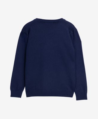 Boy's Basic V-Neck Sweater