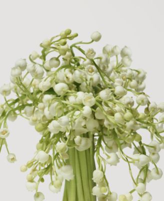 3-Pc. Deluxe Cashmere Mist Eau De Parfum Set