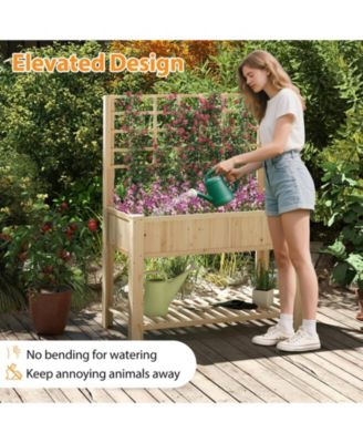 Elevated Wooden Planter Box with Trellis Raised Garden Bed