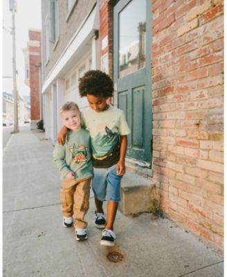 Toddler Boys Cotton Jersey T-Shirt with Mountain Print Sage