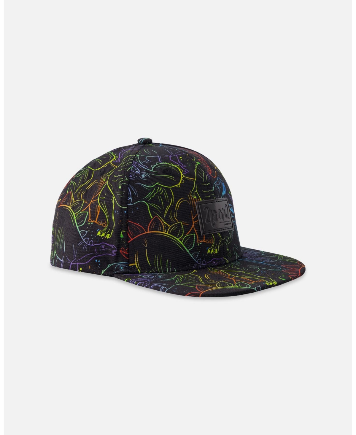 Deux par Boy Cap Dinosaur Print
