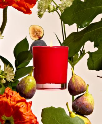Fig and Olive Petite Scented Candle, 5 oz.