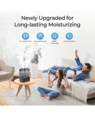 6L Cold Mist Humidifier with Oil Diffuser and Double Mist Outlets - Black